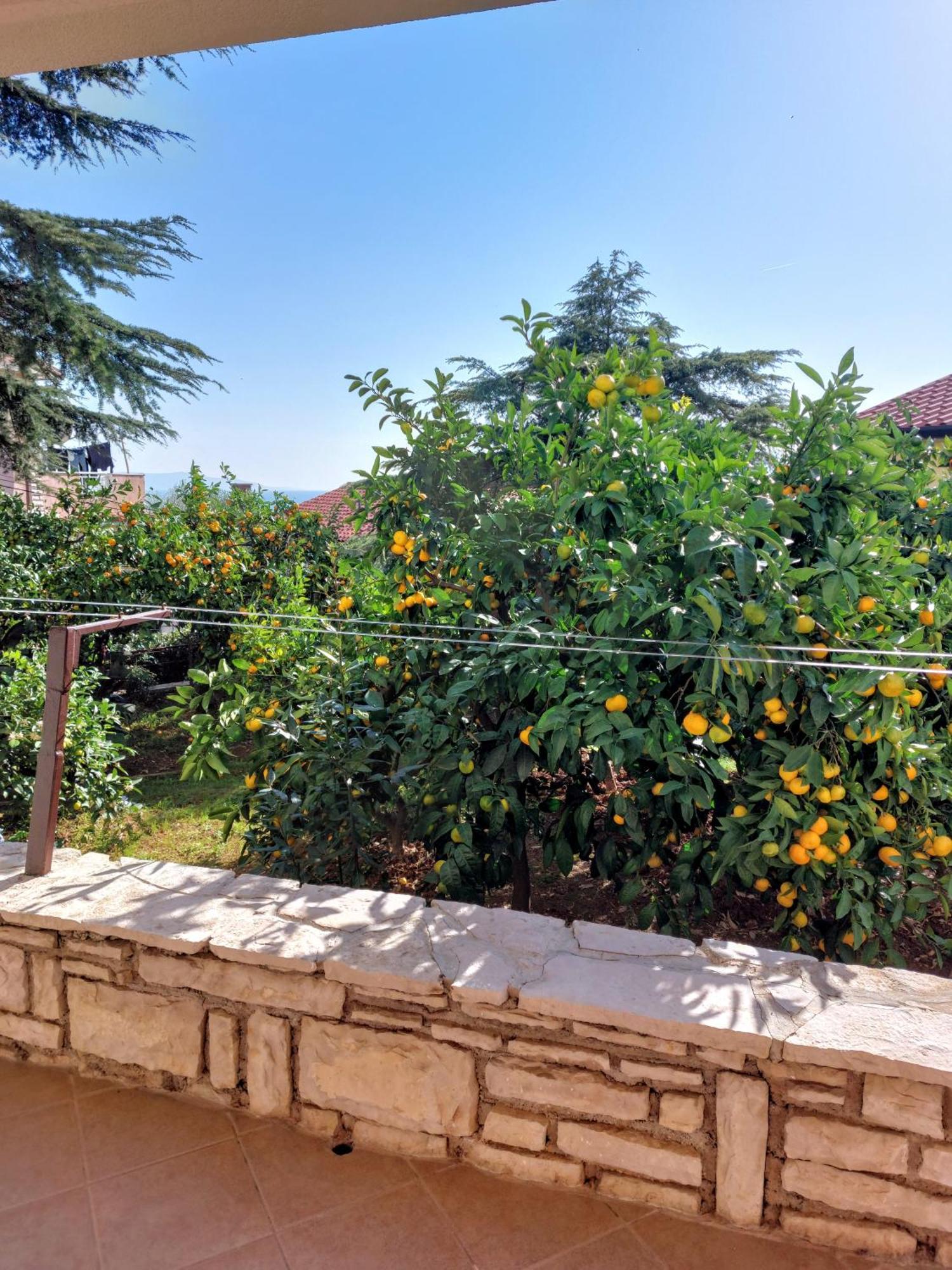 Apartment Park Rabac Exterior foto